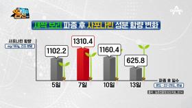 발아 후 7일째 정점을 찍는 새싹 보리 속 사포나린! 사포나린의 놀라운 효능은?!