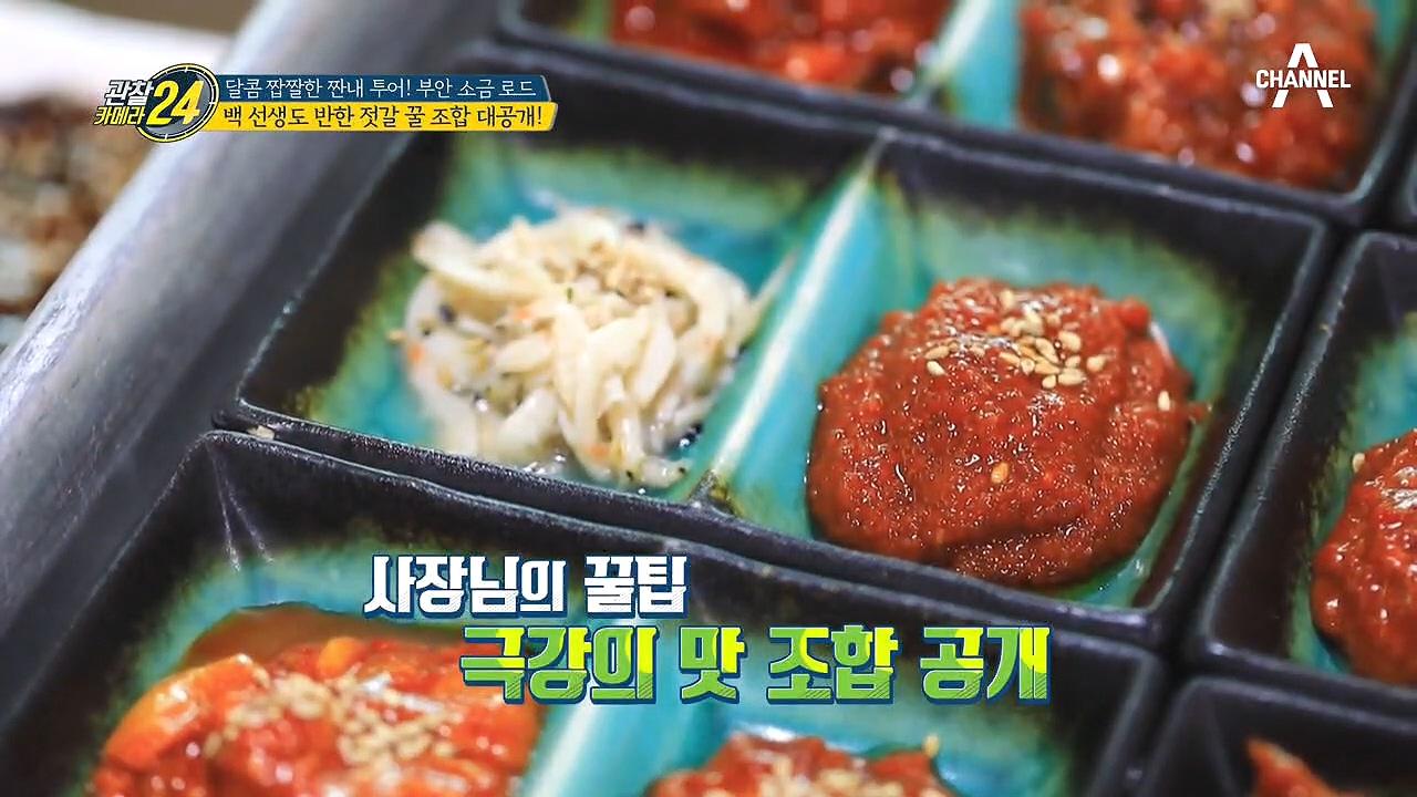 짜지 않은 젓갈 맛의 비결은 소금?! 남녀노소 사랑받는 곰소 젓갈! | ZUM TV