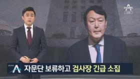 전문수사자문단 보류…윤석열, 검사장 긴급 소집