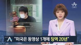 손정우 처벌 비판한 외신…“美, 동영상 1개에 징역 20년”