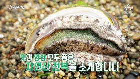 [예고] 아무에게나 허락되지 않는 '바다의 보물', 자연산 전복 채취 현장으로!