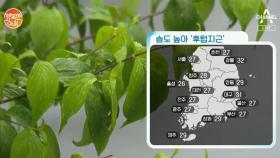 전국 '장맛비', 습도 높아 '후텁지근'