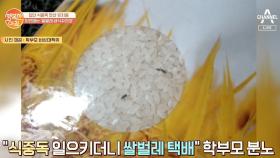 식중독 안산 유치원, '쌀벌레 택배' 논란