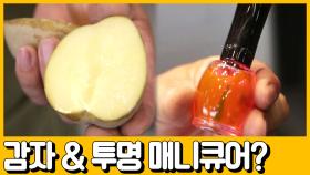 [선공개] 감자와 투병 매니큐어가 세차장에!? 일상 생활에서 활용할 수 있는 꿀팁 대방출!