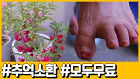 [선공개] 응답하라 추억 잇템! 봉숭아 물들이기부터 세계 최초 사탕수수 ASMR까지