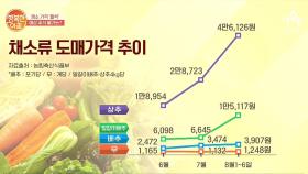 채소 가격 '들썩', 예상 추석 물가는?