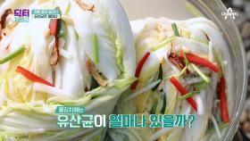 빨간 김치 비켜! ☆유산균 1등☆ 물김치 더 맛있게 먹는 법은?!