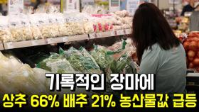 기록적인 장마에…상추 66% 배추 21% 농산물값 급등