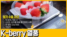 [선공개] (요건 몰랐지?) K-pop은 알겠는데 K-berry는 뭐야?