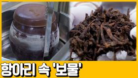 [선공개] (ㄴㅇㄱ) 갑자기 공장에 나타난 항아리?! 전통방식으로 만드는 도라지 고?