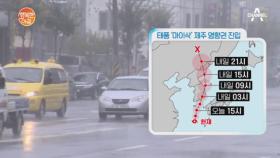 제9호 태풍 '마이삭' 북상, 무더위 주춤