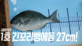 [선공개] 김래원 보고있나? 재환의 1호 긴꼬리벵에돔 등장!