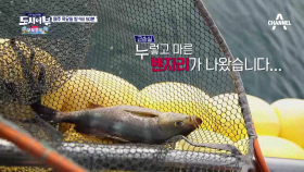 [선공개] '세상에 魚런 일이' 이경규 고기 바뀌다