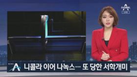 니콜라 이어 나녹스도 조작 의혹…또 당한 서학 개미