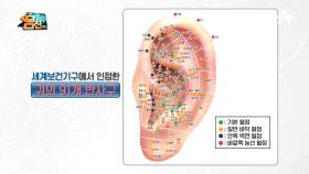 귀에 반영된 전신 건강에 주목하라! 세계에서 집중하는 '귀 반사 요법'