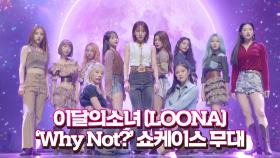 이달의소녀(LOONA) Why Not 쇼케이스 무대