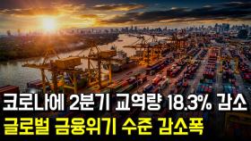 코로나에 2분기 교역량 18.3% 감소, 글로벌 금융위기 수준 감소폭