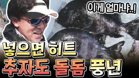 [#도시어부2] 추자도 이번에 대박났다! 돌돔부터 초대형 혹돔까지 여기가 황금어장★