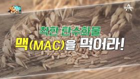 ＊굶주린 미생물에 먹이＊ 착한 탄수화물, 맥(MAC)을 먹어라!