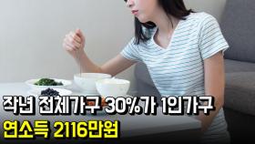 작년 전체가구 30%가 1인가구… 연소득 2116만원