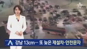 강남지역 최대 13cm 폭설…또 늦은 제설차·안전문자