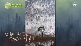 ※이만갑 최초 공개※ 경이로운 자연을 담은 DMZ의 희귀 사진