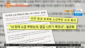 ＂내땅에 소금 뿌렸는데, 옆집 나무가 죽었어요＂...벌금 400만원 선고?!