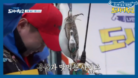 김프로의 쁘띠 갑오징어 열쇠고리, 쫙 펴도 0.5cm(?)