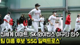신세계 이마트, SK 와이번스 야구단 인수…팀 이름 후보 'SSG 일렉트로스'