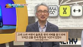 솔로몬의 선물로 증정된 '이것'?! 5천 년 전부터 위를 지키려 먹었던 '이것'의 정체는?