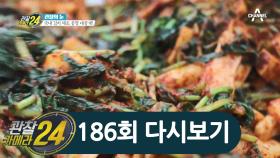 국민 필수 반찬 [김치], 청결 제일! 국내 김치 제조 현장으로 가다!