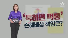 [팩트맨]카톡·유튜브 ‘먹통’…손해배상은 어렵다?