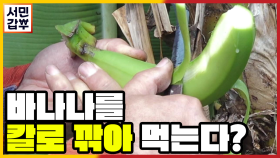[선공개] 베트남 현지인도 엄지 척b 갑부의 효자 아이템 초록 바나나!