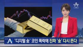 ‘디지털 金’ 코인 폭락에 진짜 ‘金’ 다시 뛴다…‘금테크’ 각광