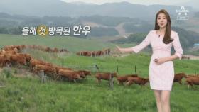 [날씨]내일 오전 중북부 비 살짝…기온 쑥쑥 올라 더워