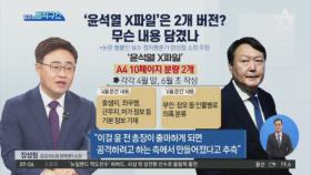 ‘윤석열 X파일’은 2개 버전?…무슨 내용 담겼나