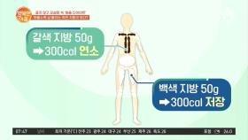 채울수록 살 빠지는 '갈색 지방'은 무엇?