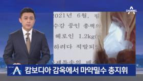 캄보디아 감옥에서 총지휘…‘국제특송’으로 마약 밀반입