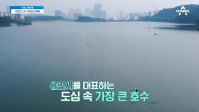 농업용 저수지를 힐링을 위한 호수로?! 용인시 '기흥호수공원'