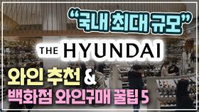 ‘더 현대’ 와인 추천과 백화점 와인 구매 꿀팁