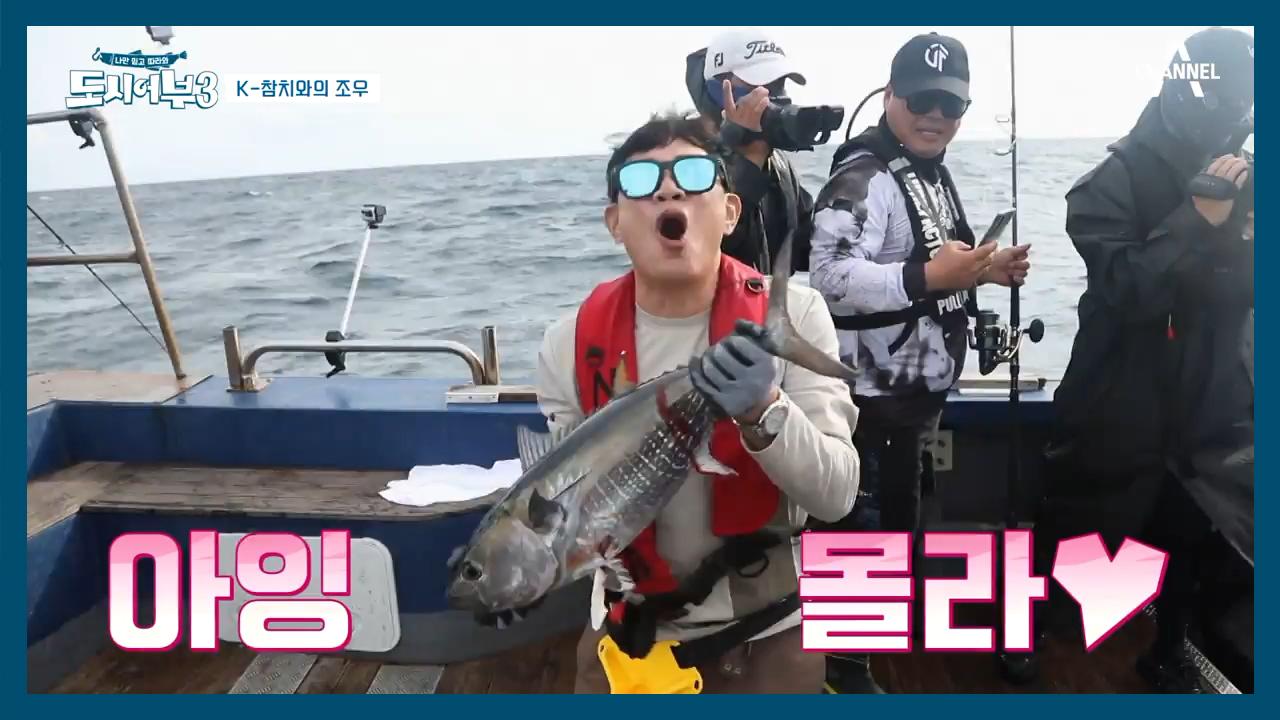 도시어부 국내 최초 참치 사냥 성공!!!.. 말도안돼! | ZUM TV
