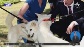 [핫플]김정은이 선물한 풍산개…文 퇴임 후에는 어디로?
