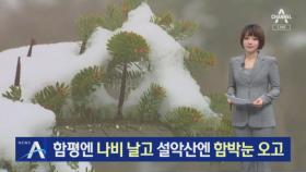 설악산엔 함박눈 오고 전남 함평엔 나비 날고…두 얼굴의 봄