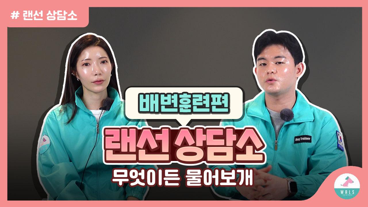 강아지 배변훈련 상담