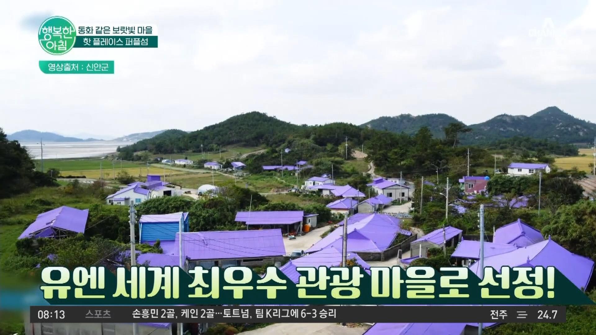 신안 최고 ★핫플★ 동화 같은 보랏빛마을 퍼플섬 | ZUM TV