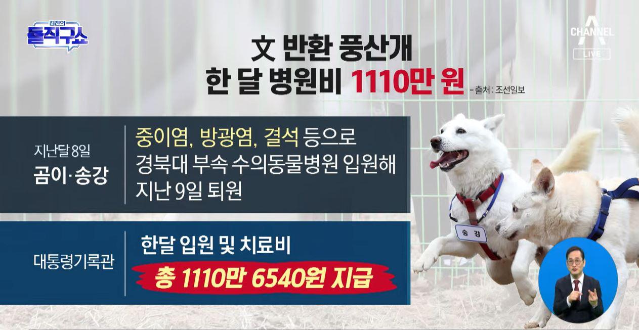 [핫플]文 반환 풍산개 ‘곰이·송강’, 한 달 병원비 1110만 원 | ZUM TV