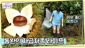 채집은 기본♨ 아이돌 출신 자연인(?) 김동완의 아침 일과는?