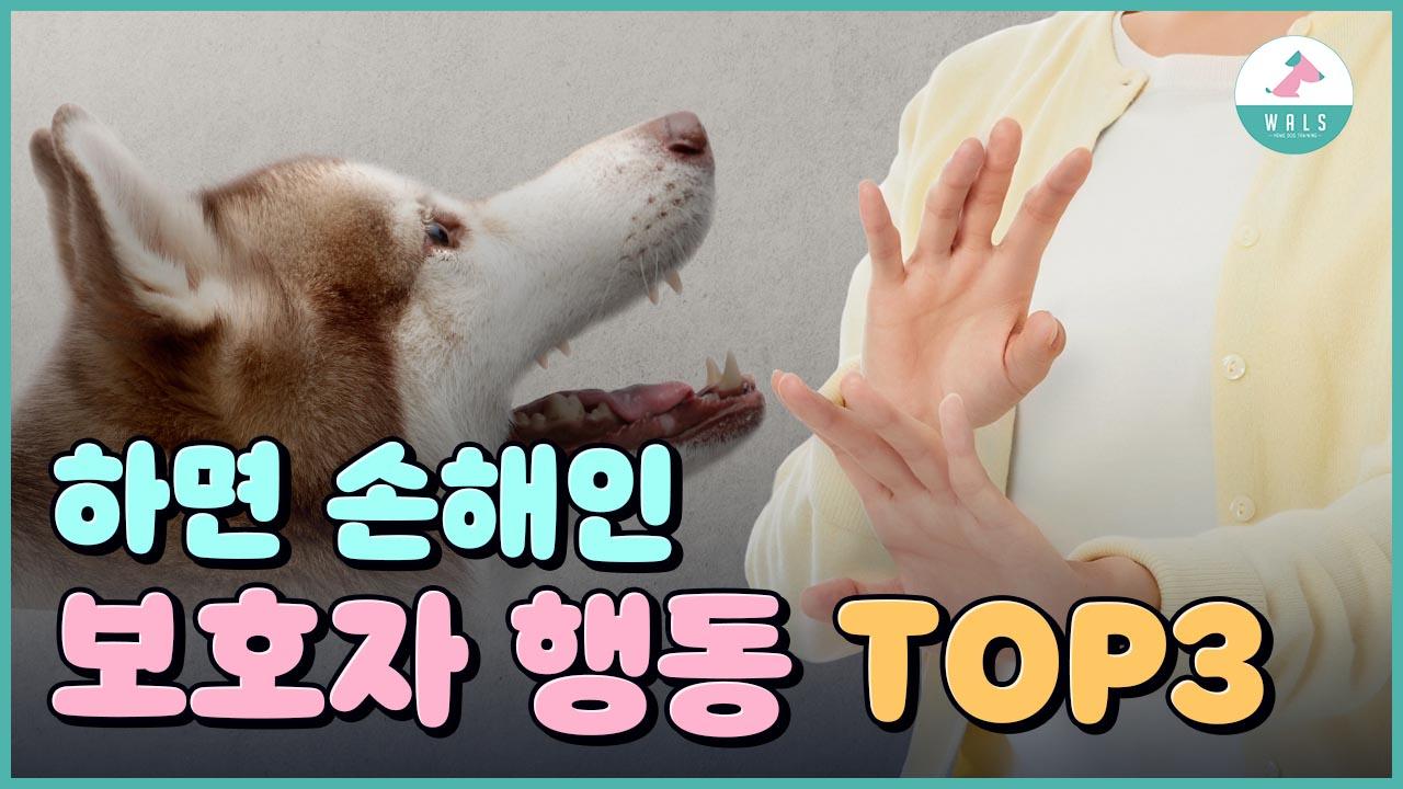 훈련사가 말하는 보호자들이 실수하는 행동