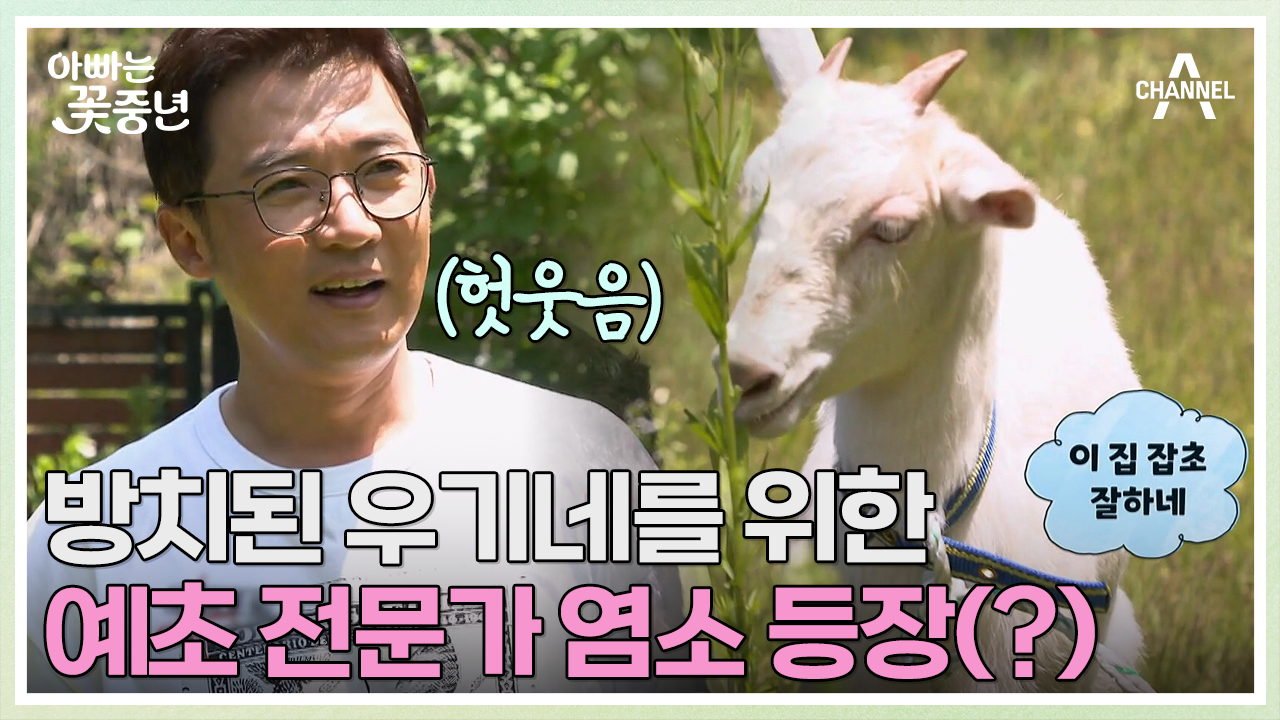 예초 대신 염소 풀어 놓기!? 잡초와의 전쟁에 임하는 재욱의 자세ㅋㅋㅋ | ZUM TV