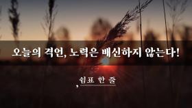 오늘의 격언, 노력은 배신하지 않는다!